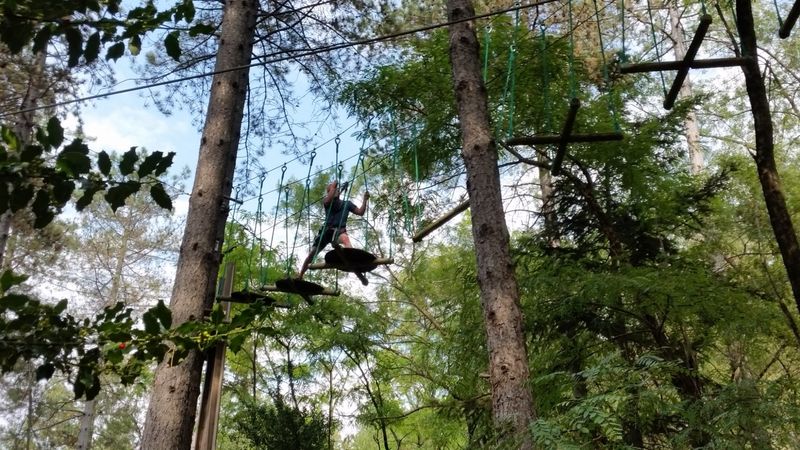 sortie étudiante à Montpellier dans un parc accrobranche