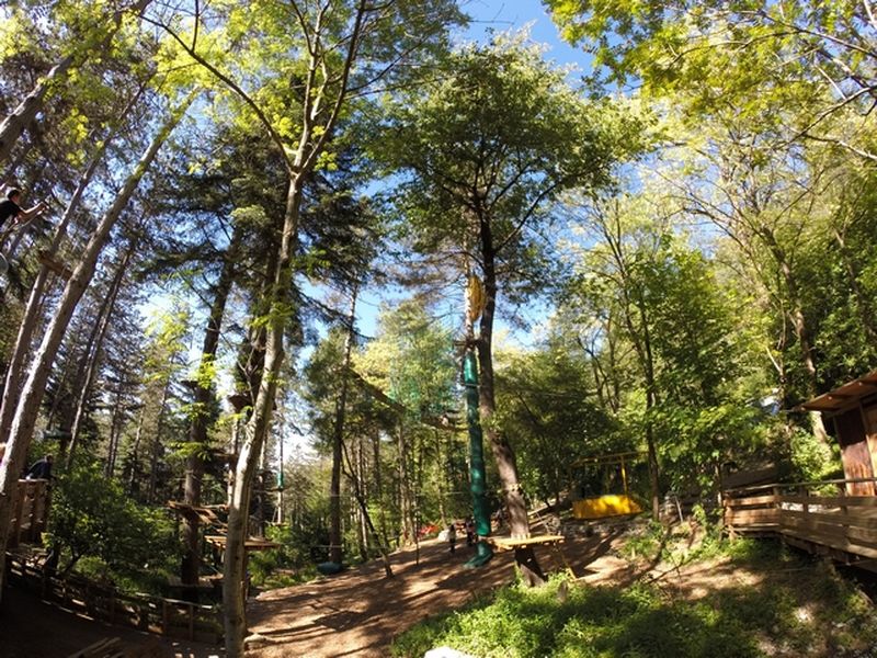 Parc accrobranche Gard pour sortir entre amis