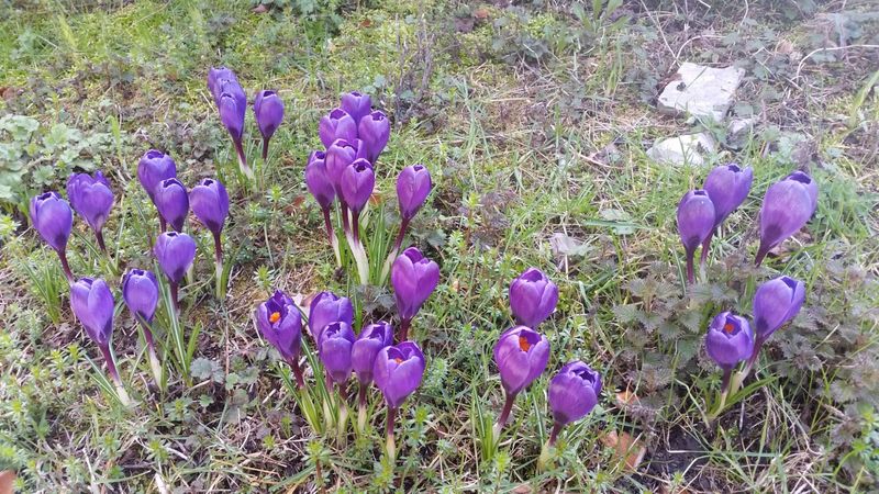 Activité familiale dans le Gard