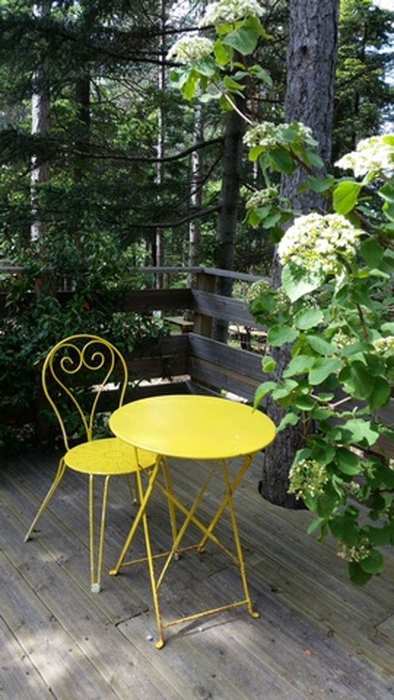 partir en vacances dans un parc accrobranche Montpellier