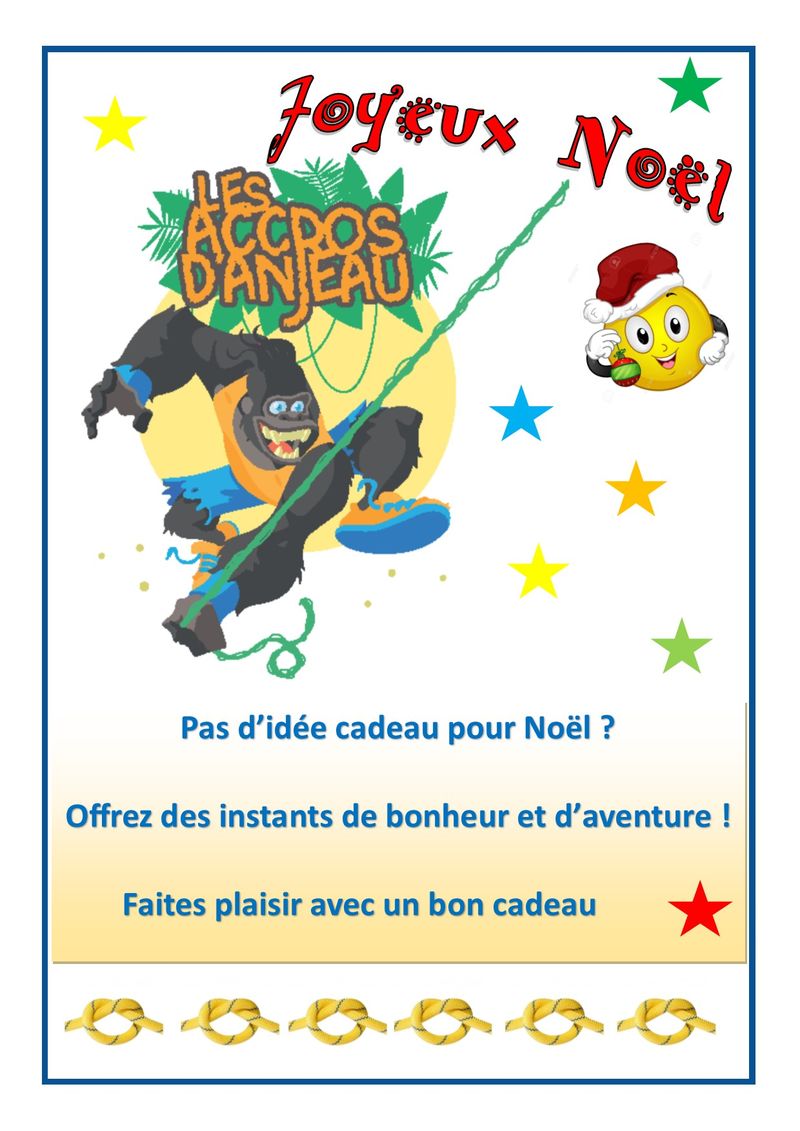 Organiser Un Anniversaire Dans Un Parc De Loisirs Avec Activites Sportives Vers Anduze Dans Les Cevennes Les Accros D Anjeau