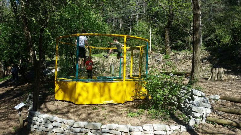 sortie scolaire dans un accrobranche proche de Montpellier pour les enfants