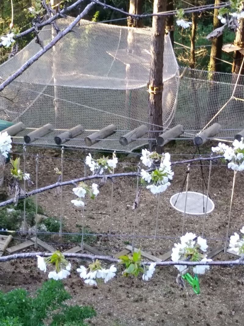 ou sortir après le confinement en famille pour faire du sport vers Anduze