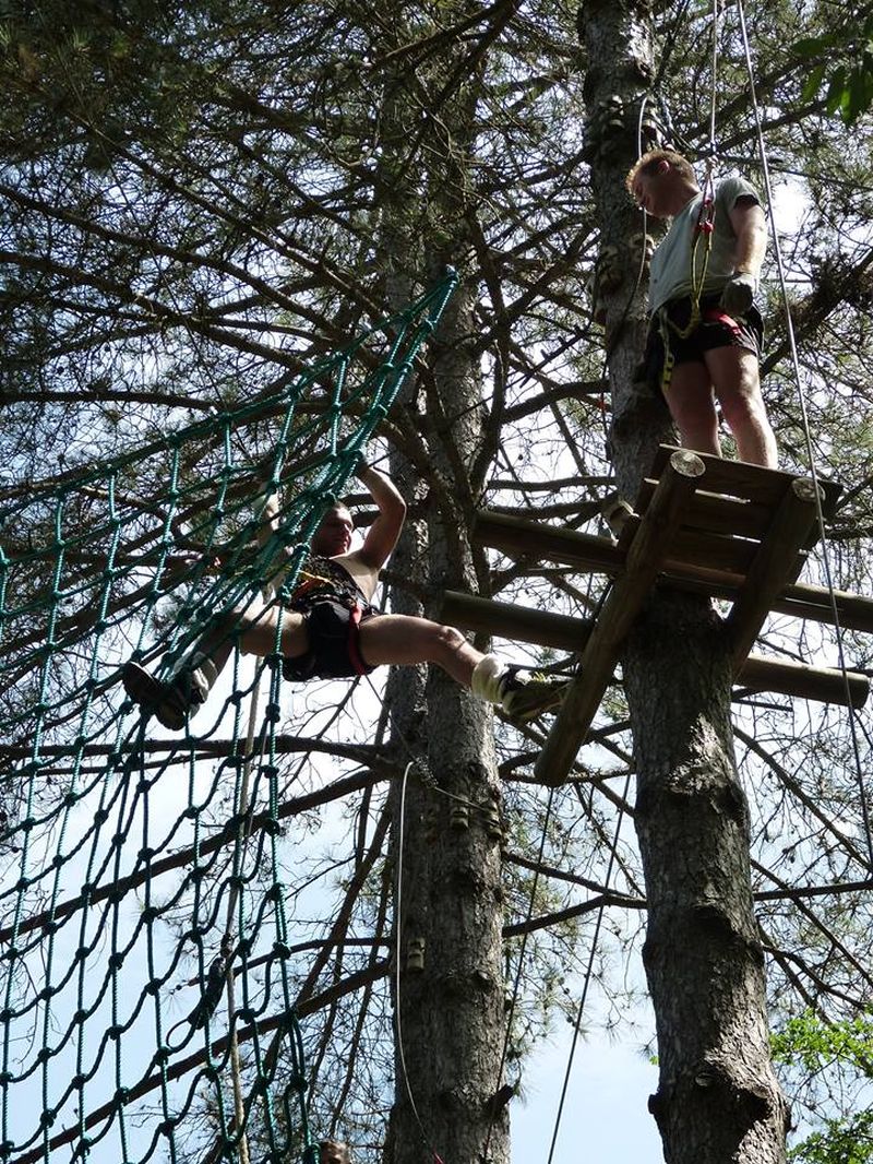 Tarzan dans les arbres