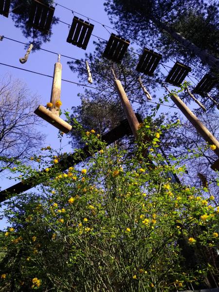 Parc d'aventures et de jeux à visiter après le confinement et le covid19 vers Nimes dans le Gard