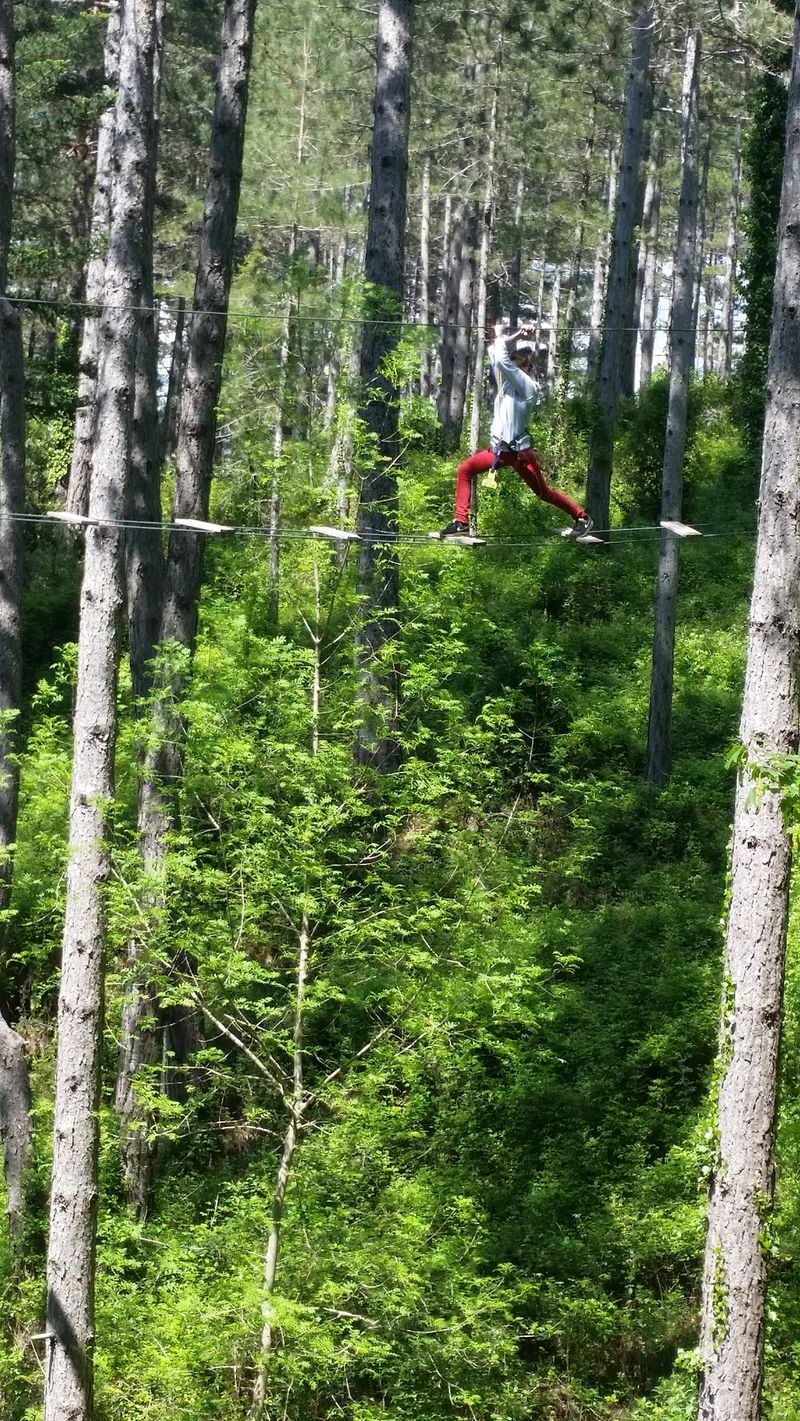 Accrobranche dans le Gard 30