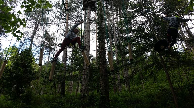 Accrobranche sensations entre Gard et Hérault