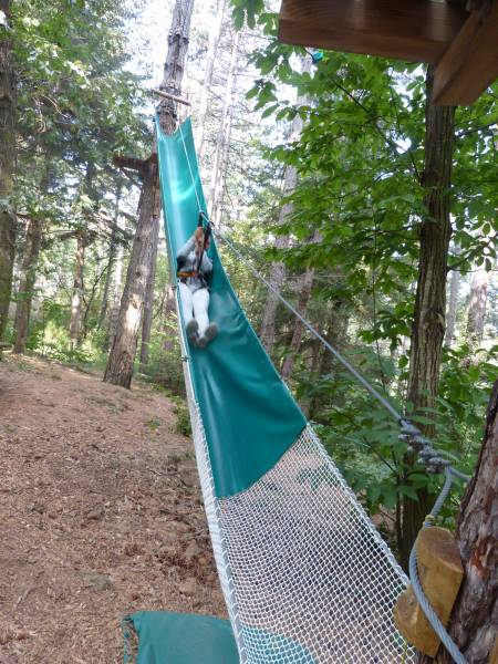 ou trouver le meilleur parc accrobranche dans l'Hérault