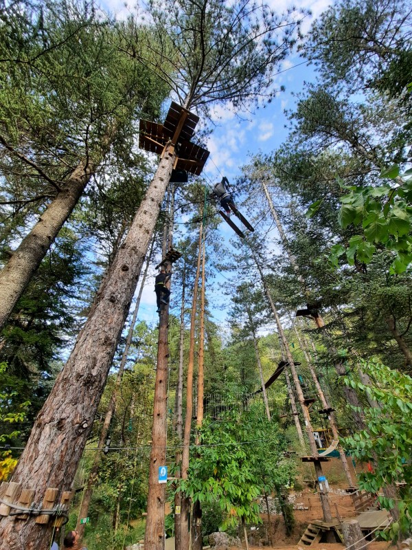 organiser un anniversaire entre adultes ver Montpellier