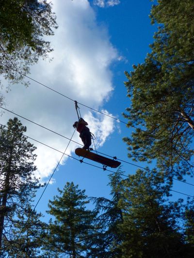 Nos prestations sur le secteur de proche de Montpellier dans l'Hérault