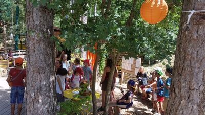 Notre zone d'activité pour ce service Parcours aventure en forêt