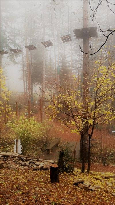 Notre zone d'activité pour ce service Parc de loisirs avec aventure en forêt pour les enfants et les adultes