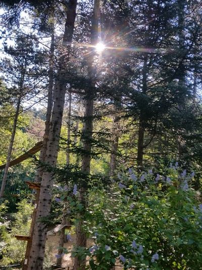 Notre zone d'activité pour ce service Activité sportive pour toute la famille